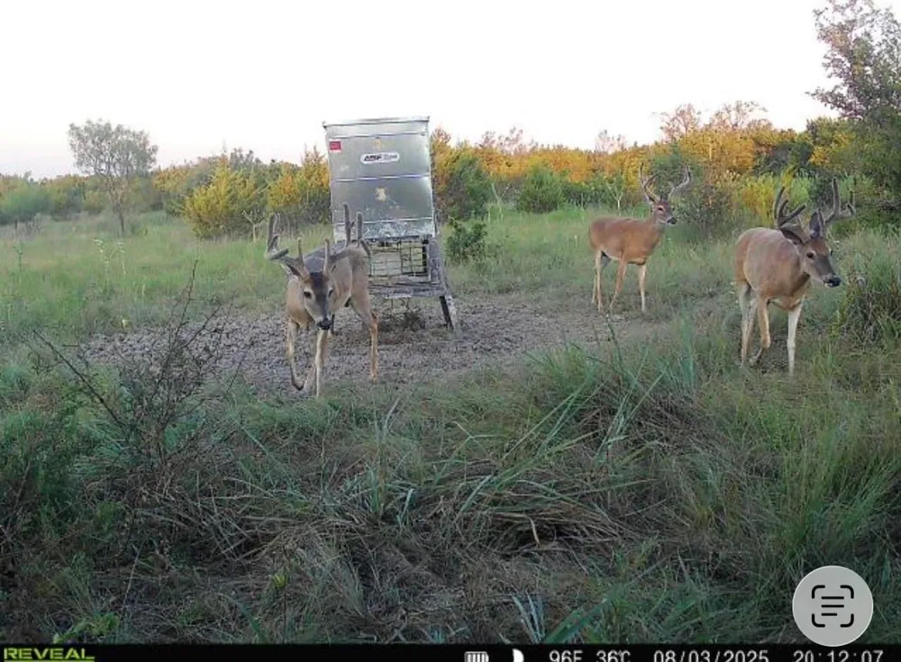 Cr 139 Gatesville, TX 76528