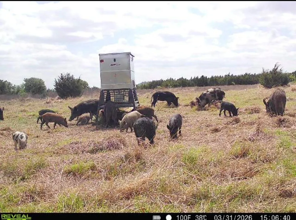 Cr 139 Gatesville, TX 76528