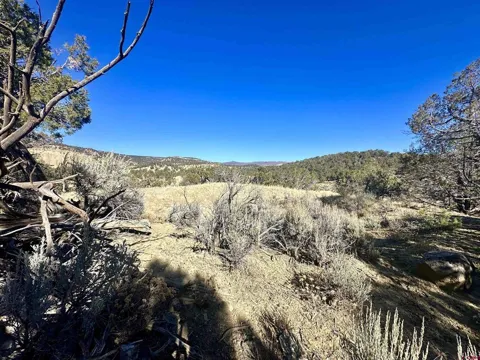 Cactus Park Road