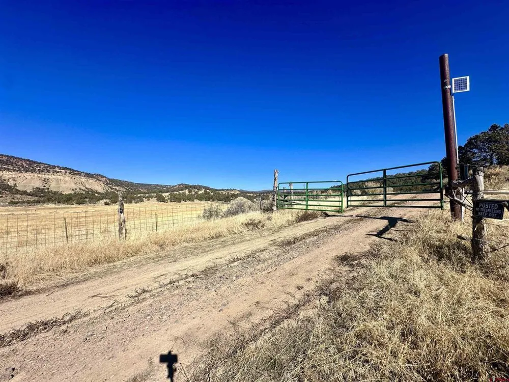 Cactus Park Road Cedaredge, CO 81413