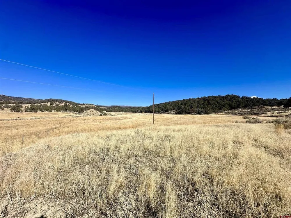 Cactus Park Road Cedaredge, CO 81413