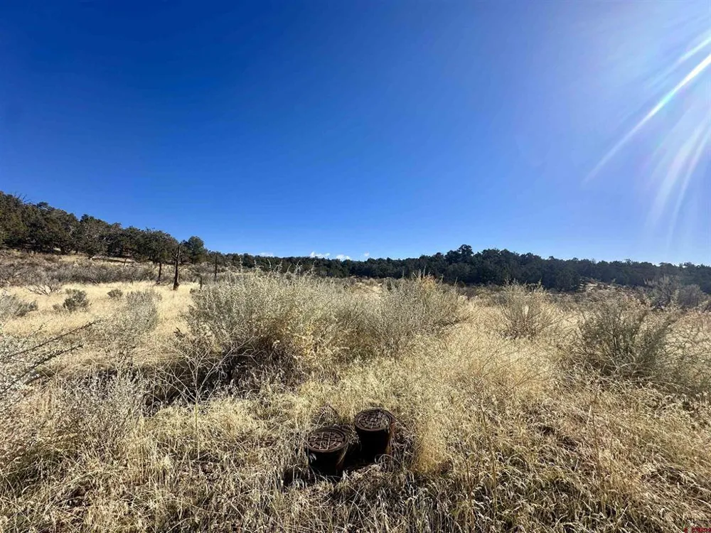 Cactus Park Road Cedaredge, CO 81413