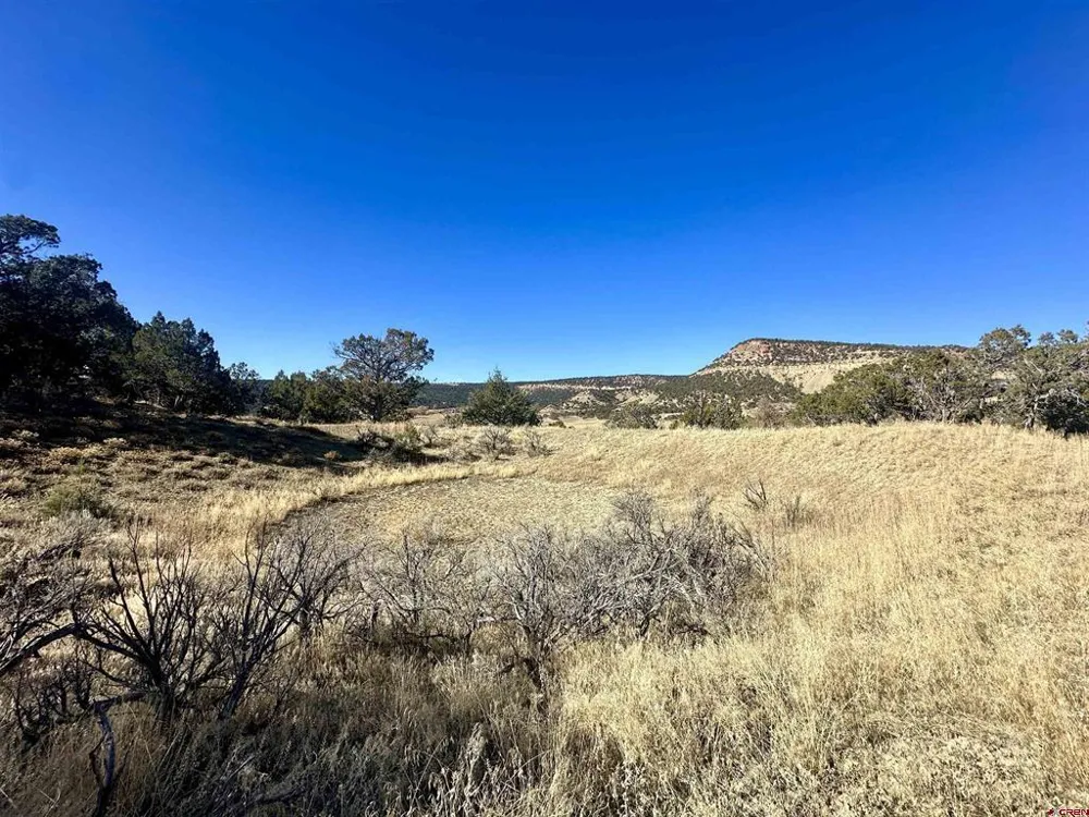 Cactus Park Road Cedaredge, CO 81413