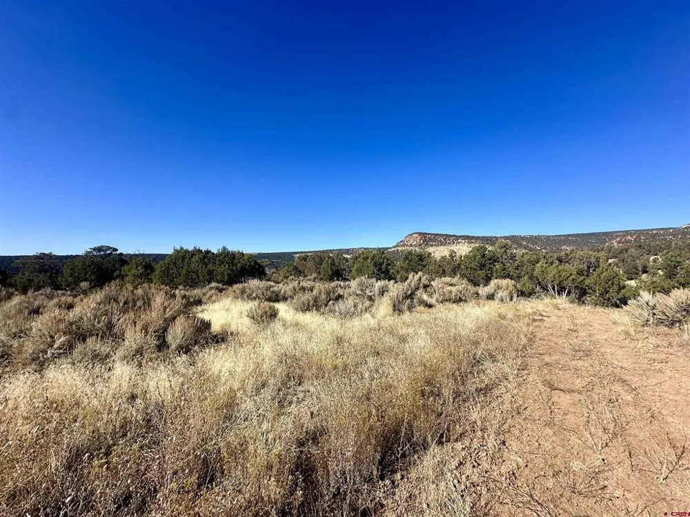 Cactus Park Road Cedaredge, CO 81413