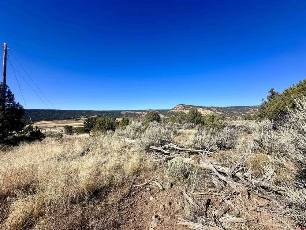 Cactus Park Road Cedaredge, CO 81413
