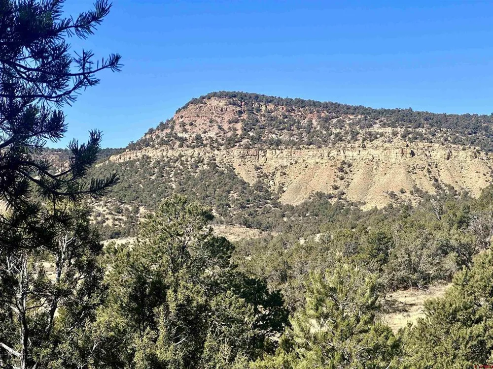 Cactus Park Road Cedaredge, CO 81413