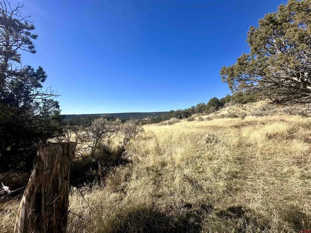 Cactus Park Road Cedaredge, CO 81413