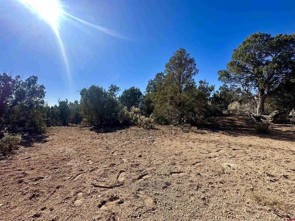 Cactus Park Road Cedaredge, CO 81413