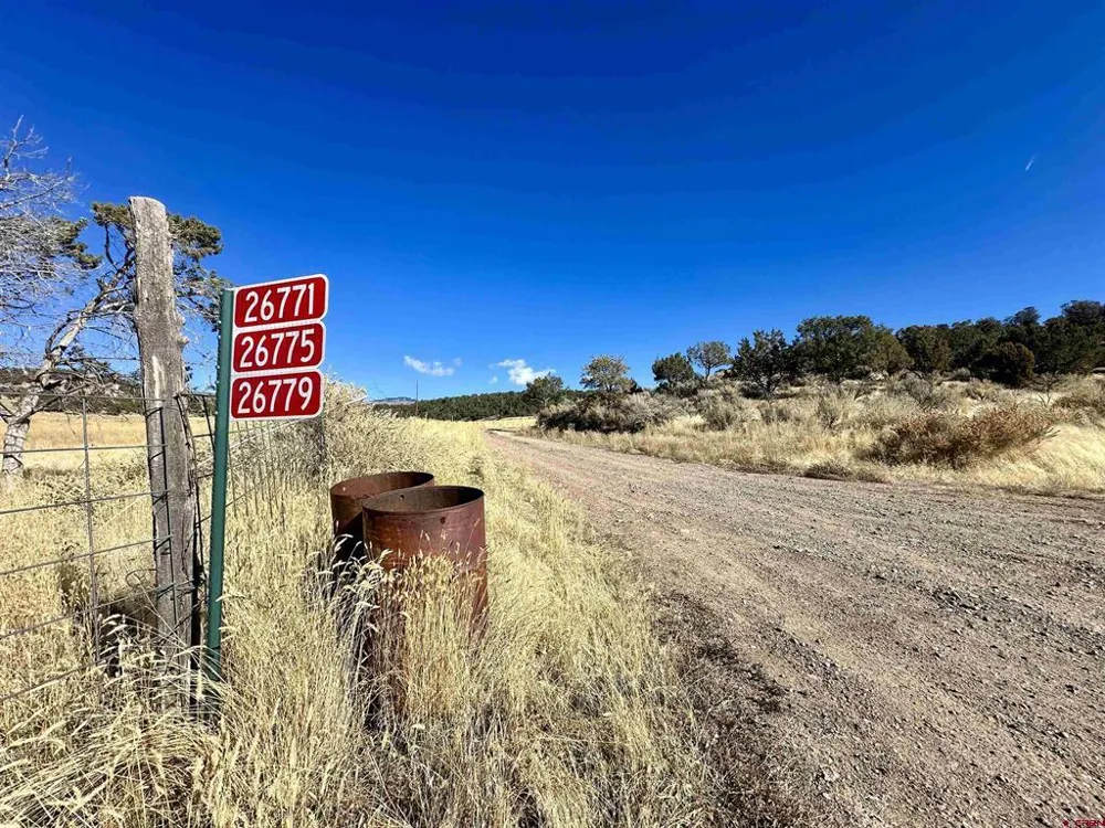 Cactus Park Road Cedaredge, CO 81413