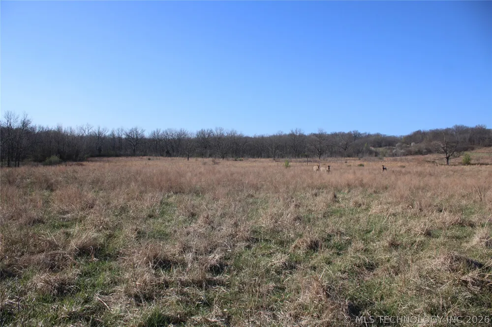 S 4200 ROAD Chelsea, OK 74016
