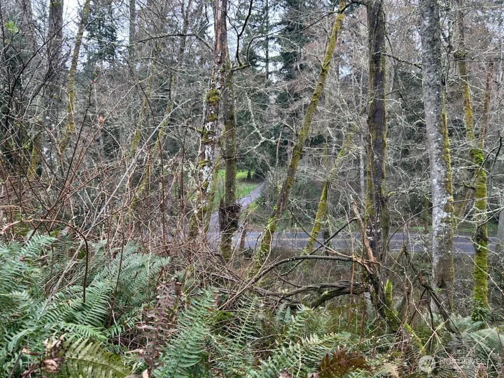 0 Ewing Clinton, WA 98236