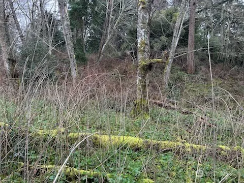 0 Ewing Clinton, WA 98236