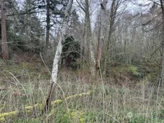 0 Ewing Clinton, WA 98236