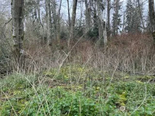 0 Ewing Clinton, WA 98236