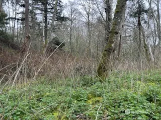 0 Ewing Clinton, WA 98236