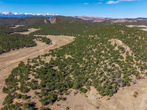 710 Mc Clure Gulch Road