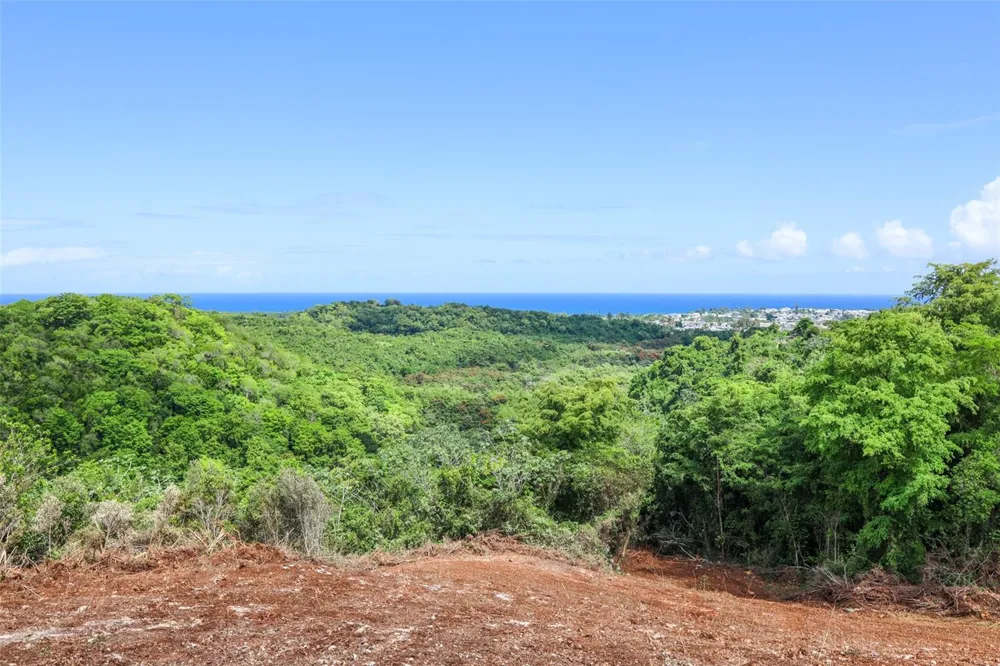 KM 2.4 INT LA RAMPLA #Lot 5 Hatillo, PR 00659