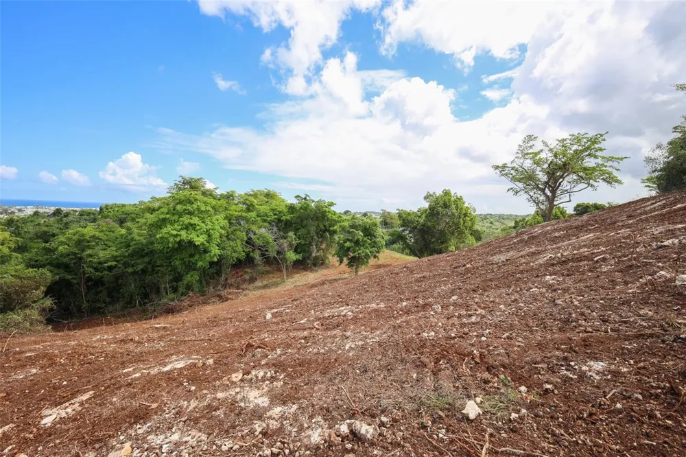 KM 2.4 INT LA RAMPLA #Lot 5 Hatillo, PR 00659