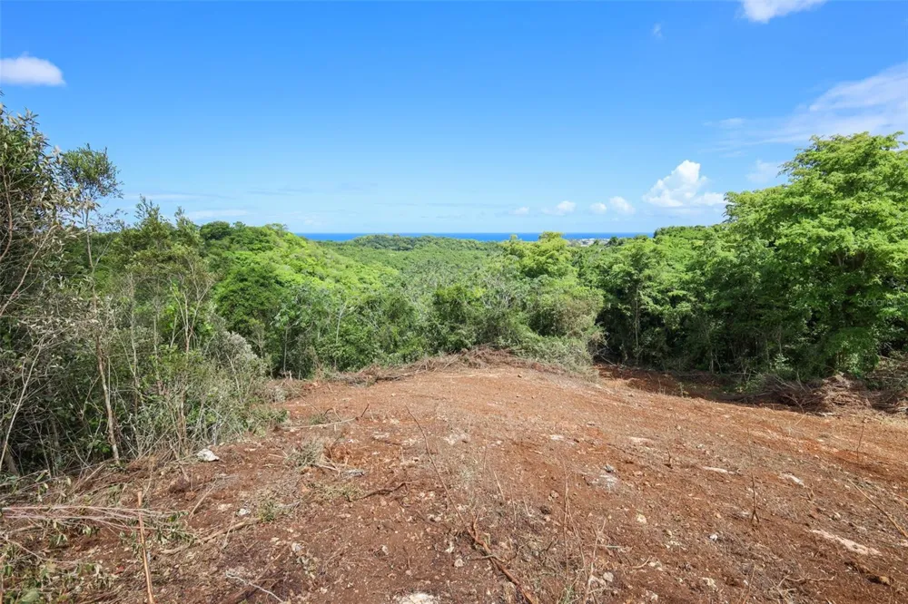 KM 2.4 INT LA RAMPLA #Lot 5 Hatillo, PR 00659