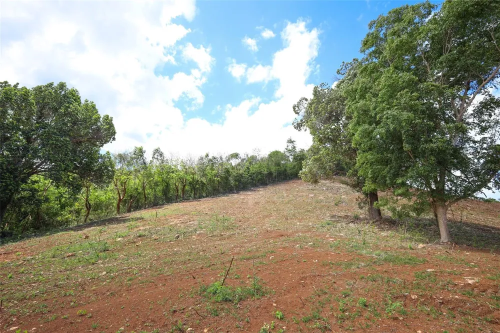 KM 2.4 INT LA RAMPLA #Lot 5 Hatillo, PR 00659