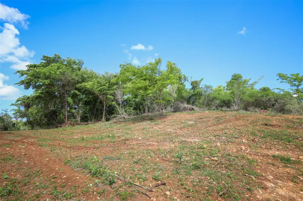 KM 2.4 INT LA RAMPLA #Lot 5 Hatillo, PR 00659