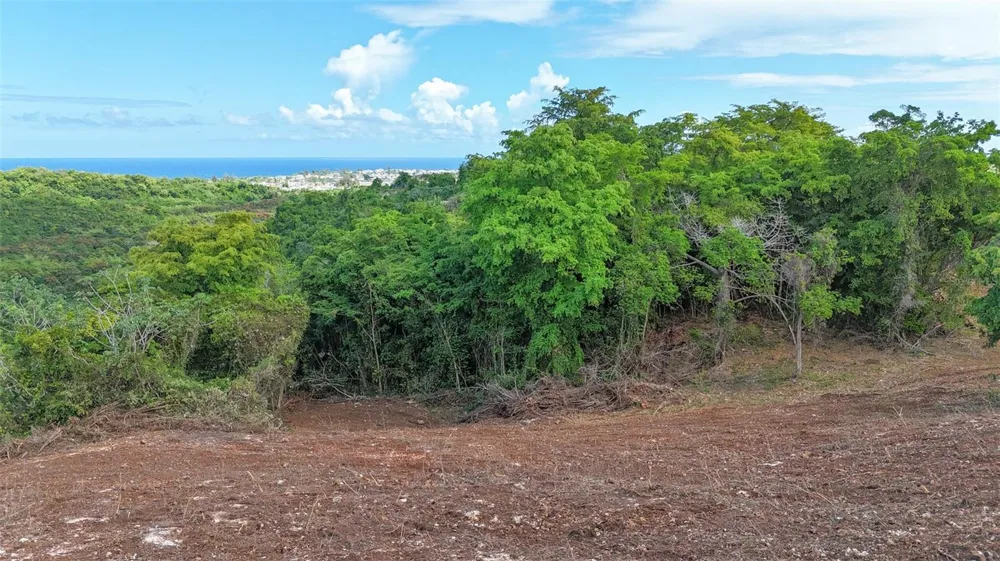 KM 2.4 INT LA RAMPLA #Lot 5 Hatillo, PR 00659