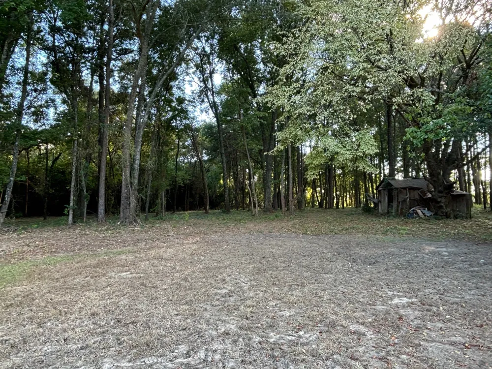 2431 Jefferson Mt Pleasant, TX 75455