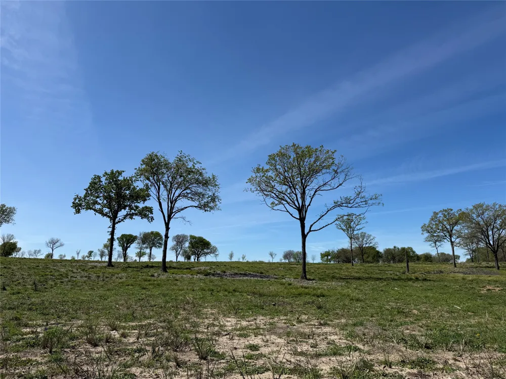 174 Serene Way Richland, TX 76681