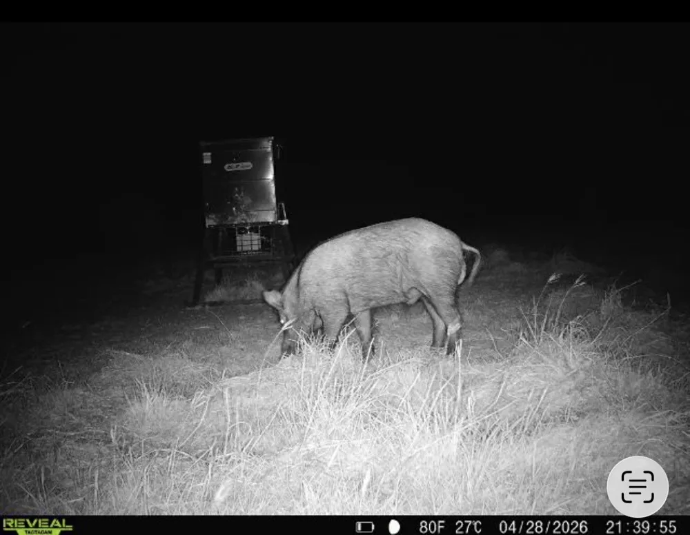 CR 139 Gatesville, TX 76528