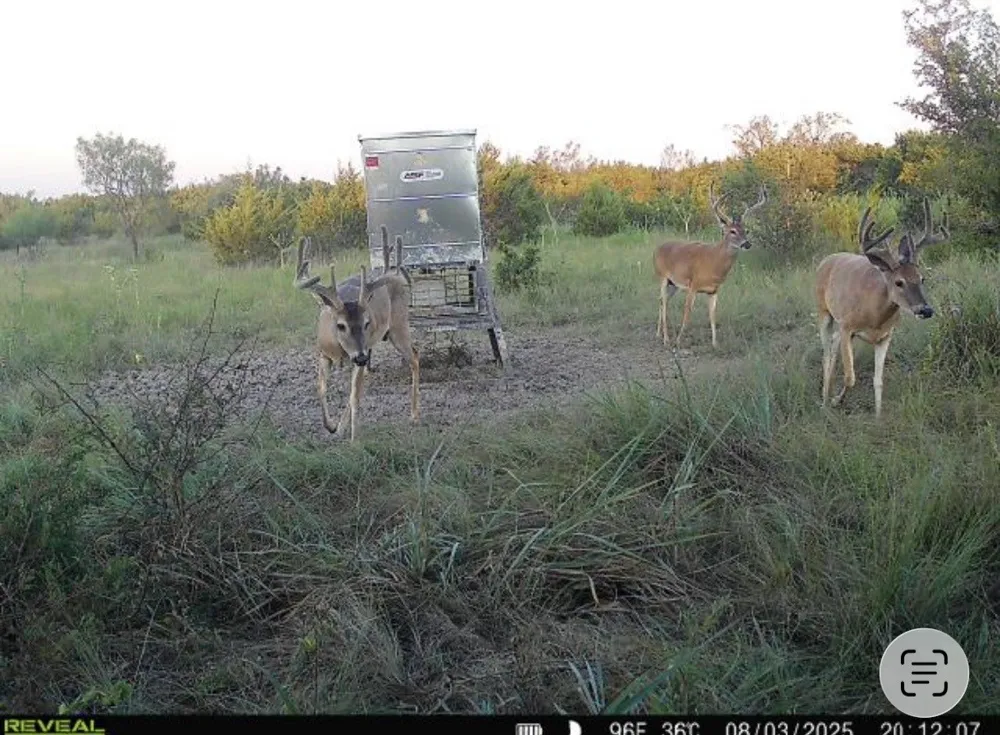 CR 139 Gatesville, TX 76528