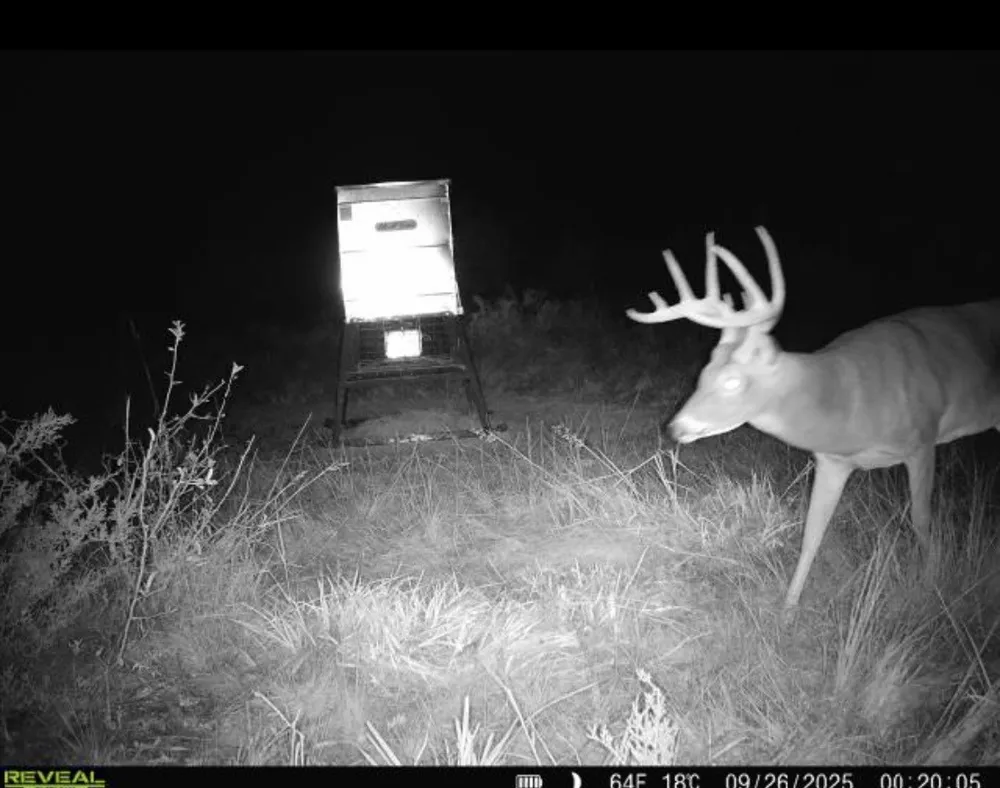 CR 139 Gatesville, TX 76528