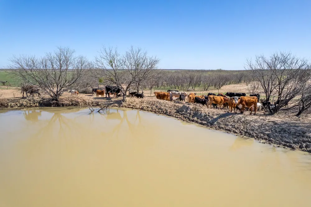 Cr 300 Coleman, TX 76834