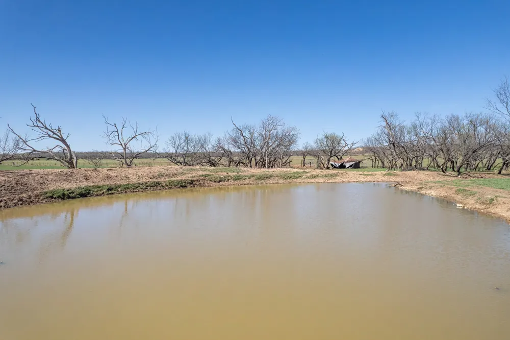Cr 300 Coleman, TX 76834