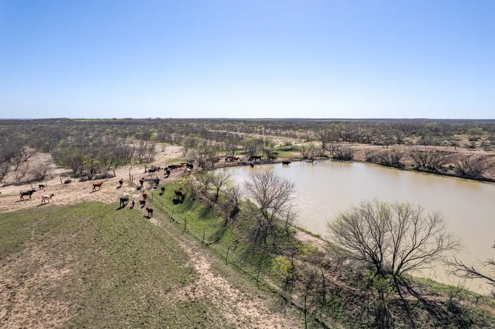 Cr 300 Coleman, TX 76834