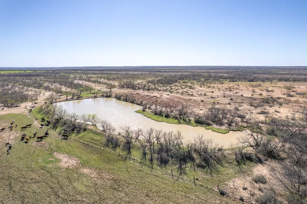 Cr 300 Coleman, TX 76834