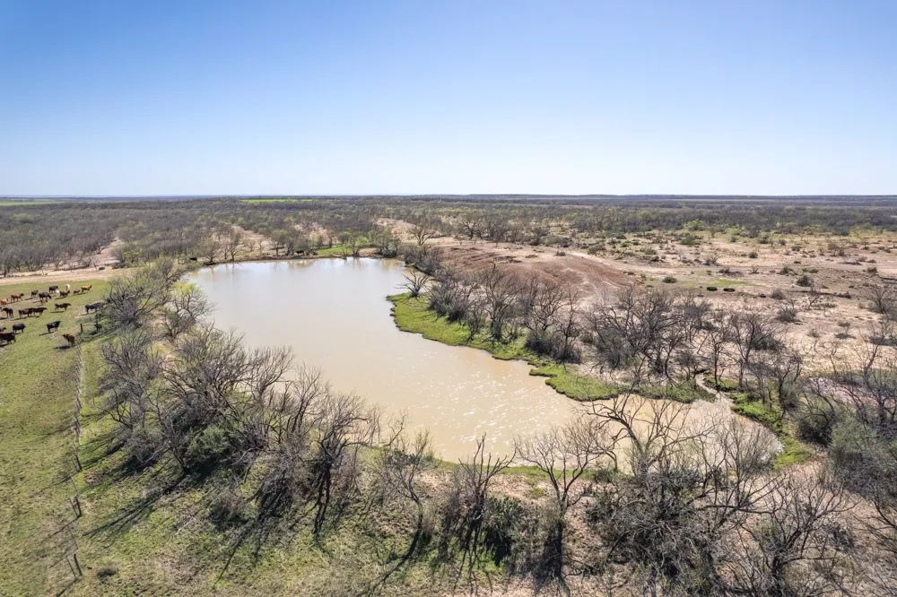 Cr 300 Coleman, TX 76834