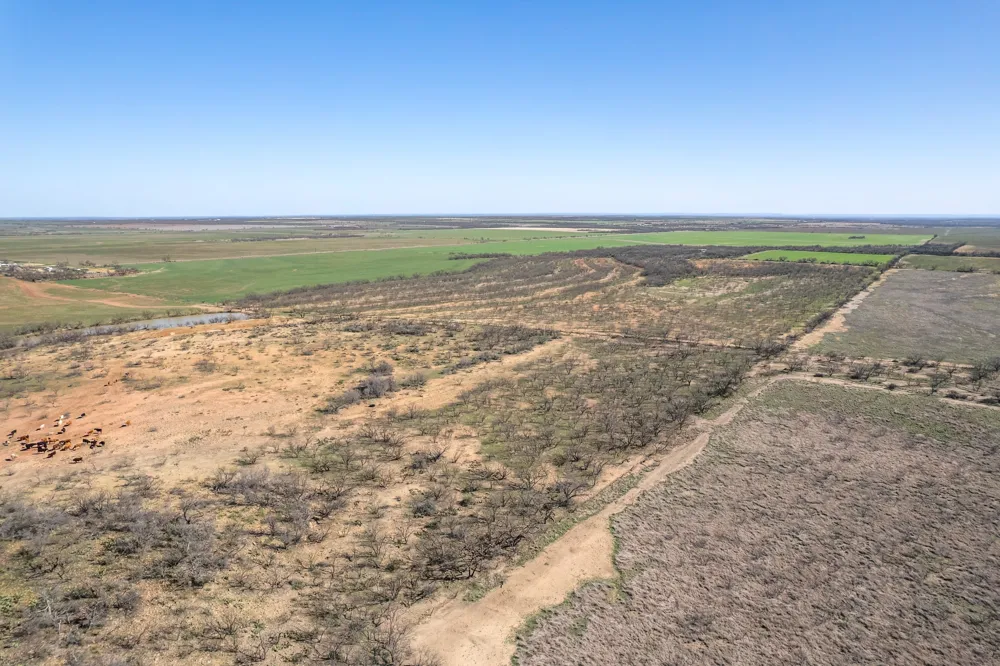 Cr 300 Coleman, TX 76834