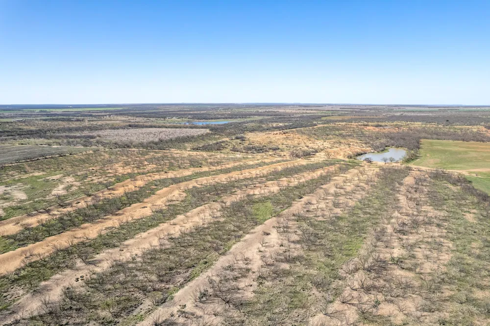 Cr 300 Coleman, TX 76834