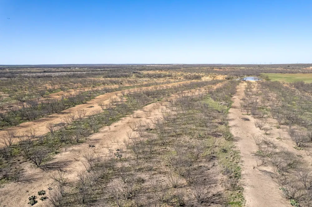 Cr 300 Coleman, TX 76834