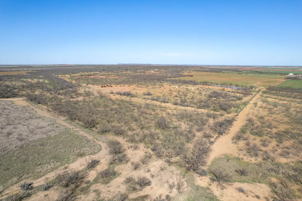 Cr 300 Coleman, TX 76834