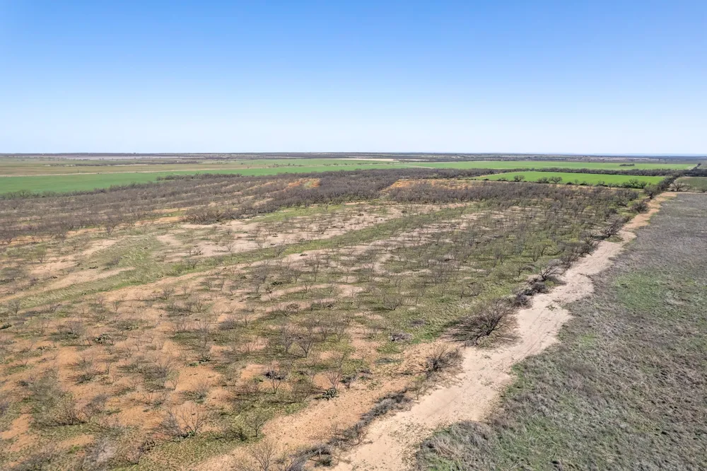 Cr 300 Coleman, TX 76834