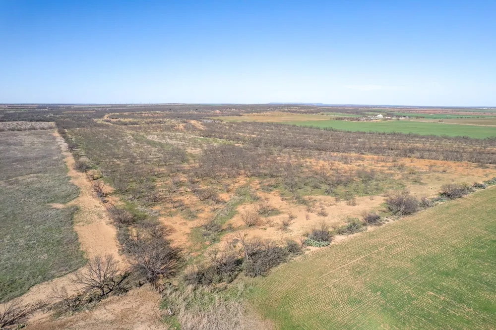 Cr 300 Coleman, TX 76834