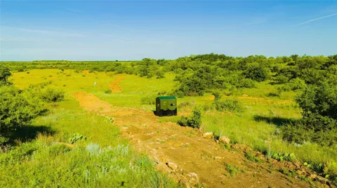 CR 247