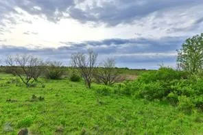 CR 247 Oplin, TX 79510