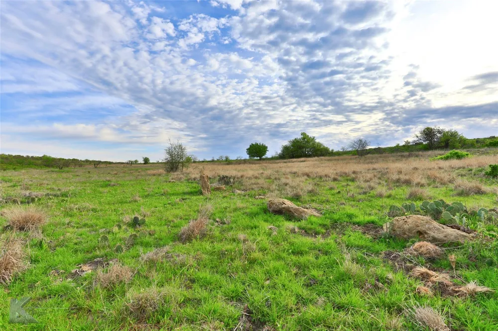 CR 247 Oplin, TX 79510
