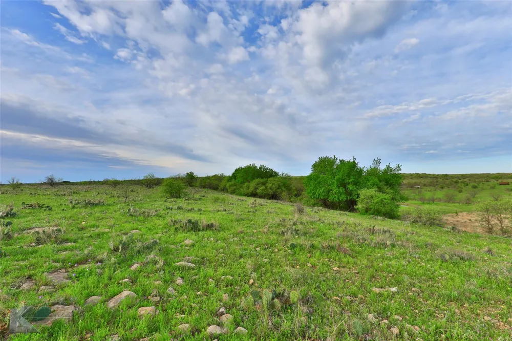 CR 247 Oplin, TX 79510