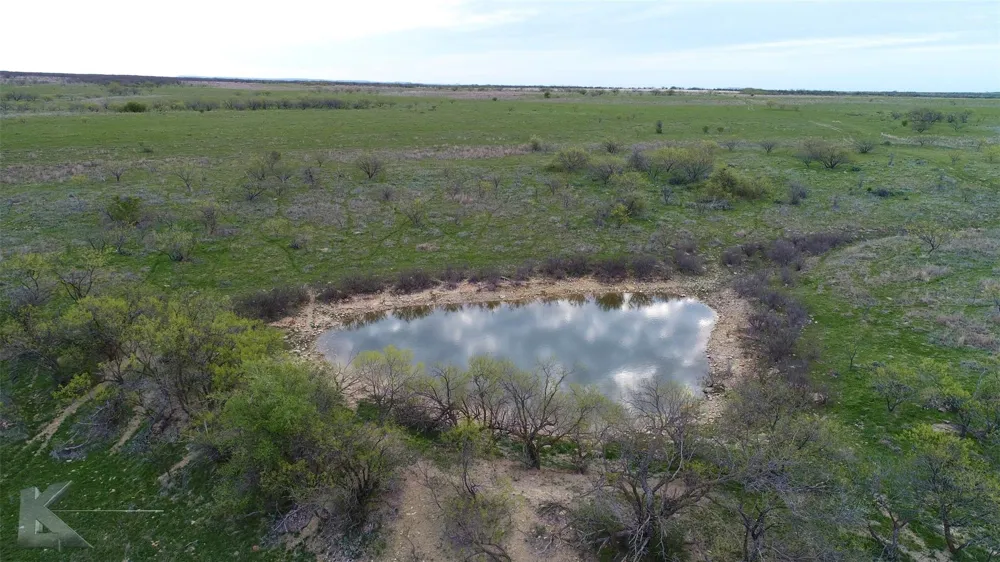 CR 247 Oplin, TX 79510