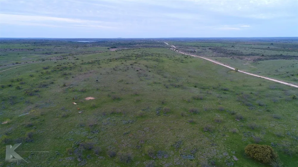 CR 247 Oplin, TX 79510
