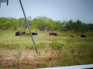 CR 247 Oplin, TX 79510