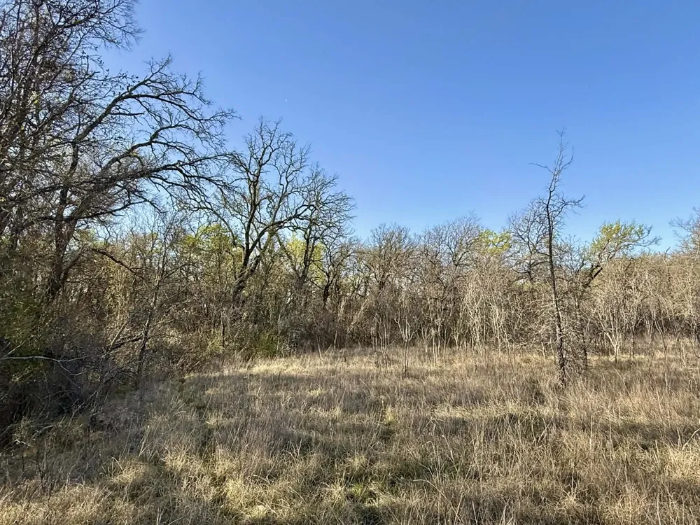 CR 328 Dublin, TX 76446